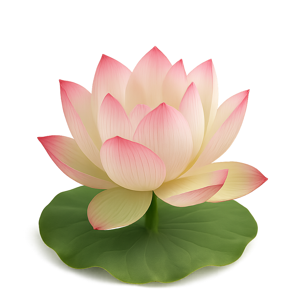 莲花